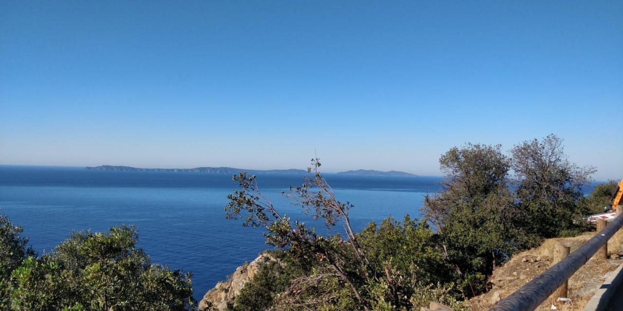 "Ti Sable" Agreable Studio Climatise, Jolie Vue Mer, Piscine A Cavalaire Sur Mer Golfe De St-Tropez Exterior photo